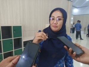 Bidan Ris Bakal Diadukan ke BKPPD, Kadinkes Halsel: Jika Terbukti Tidak Jalankan Tugas
