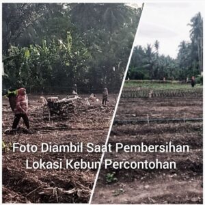 Tingkatkan Ketahanan Pangan, Pemdes Koititi Berdayakan PKK