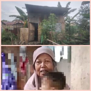 Tinggal di Gubuk, Janda Asal Desa Tomori Mengakuh Belum Perna Terima Bantuan