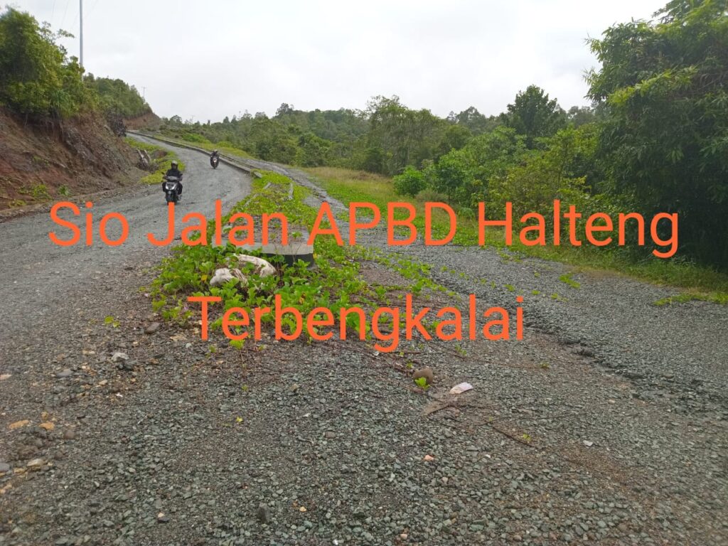 Jalan Patani Gemia Mangkrak, Puluhan Milyar APBD Halteng Terbuang Sia-sia