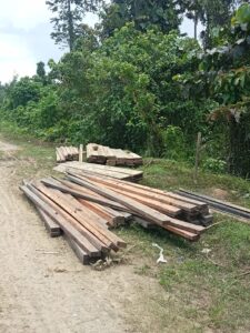 Marak Sindikat Kayu Ilegal di Gane Timur, APH Terkesan Tidur!