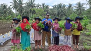 Luar Biasa, Hari Ini Kelompok Tani Desa Koititi Panen Perdana
