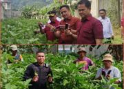 Rutan Kelas IIB Weda Budi Dayakan Tanaman Dalam Rangka Program Ketahanan Pangan