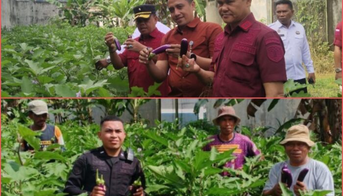 Rutan Kelas IIB Weda Budi Dayakan Tanaman Dalam Rangka Program Ketahanan Pangan