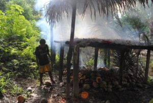 Harga Kopra di Malut Terus Meningkat, Halsel Tembus Rp.17.000 Perkilo