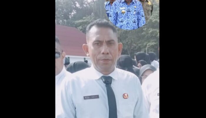 Pengabdian Selama 20 Tahun Terbayar Setelah Resmi Terima SK PPPK dari Pemda Halsel