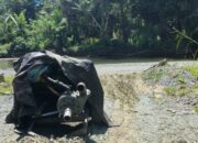Diduga Merusak Sungai Akibat Penyedotan Pasir, Polda Malut Diminta Tindak Pengusaha di Haltim