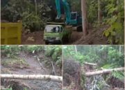 Galian C Ilegal di Gane Barat Rusak Kebun Warga, Warga Desak Proses Hukum