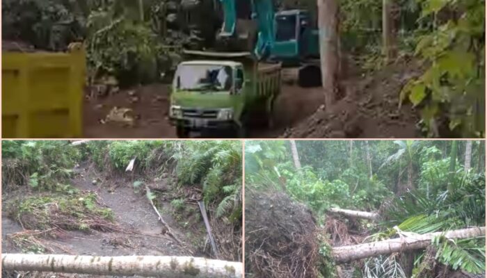 Galian C Ilegal di Gane Barat Rusak Kebun Warga, Warga Desak Proses Hukum