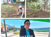 Lahan Cengkeh 600 Hektar Warisan Hi. Sadik Djafar Noch Kini Dikelola KASN Halsel