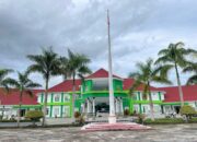 Pemerintahan Bassam-Helmi, Halsel Konsisten di Zona Hijau MCP 80 Persen