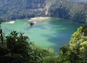 SEMAINDO Tolak Proyek Geothermal Telaga Ranu, 16.650 Hektare Hutan di Halbar Terancam