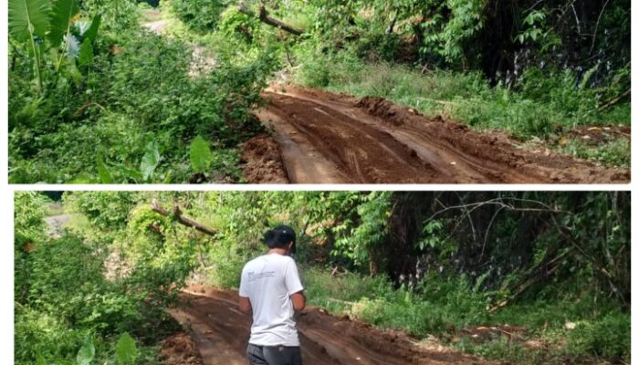 Warga Pabos Resah, Dump Truck Angkut Tanah untuk Proyek Geothermal Idamdehe Picu Kekhawatiran