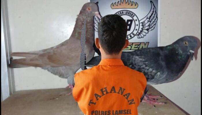 Unit Reskrim Polsek Natar Amankan Terduga Pelaku Pencurian di Desa Merak Batin