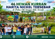 46 Hewan Kurban Harita Nickel Tersebar di Pulau Obi hingga Kota Ternate